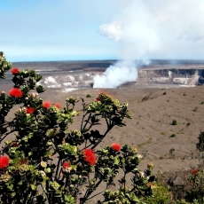 インスタ。なりすましにご注意ください！！　＆　今日のマナ・カード　11番　カ・ワイ・ア・カ・ピリリコ　KA  WAI  A  KA  PILILIKO☆彡