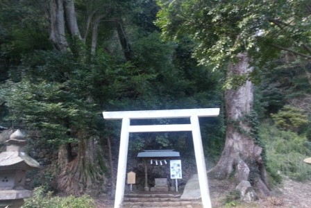 伊豆山神社：　マナ・カード引いてみました！