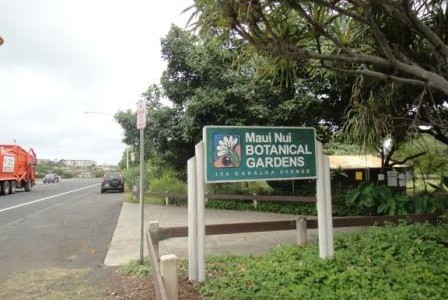 ハワイの植物園：Maui Nui Botanical Gardens