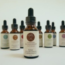 アロハはいつもここにある　＆　プライベート・レッスンの醍醐味☆彡