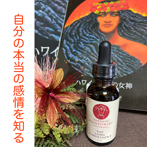 昨日、公式LINEより一斉メール配信いたしました☆彡　＆　足半WSの準備＼(^o^)／　ご興味ある方、来年以降日程調整しますね☆彡