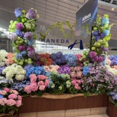 メリアさん＆ホク君。無事に東京にいらっしゃいました☆彡　＆　足半。皆様、ぜひ広めて＆販売してくださいね！