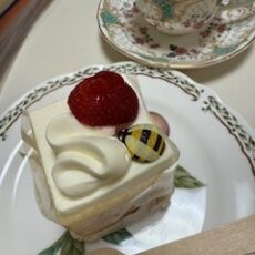 「立秋」を迎えましたが、残暑厳しいですね。　＆　10/18&19「飛鳥山ハワイフェスティバル」準備はじめております☆彡