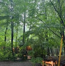 自然の中でマナを充電☆　＆　今日のマナ・カード　1番イオ　’I’O