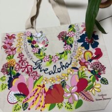 9/14（日）「ペレとヒイアカの旅」レジメお送りしました！　＆　無料メルマガ送信いたしました!(^^)!