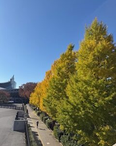 ホクラニ・オハナのみなさま、12/7　ホクラニ・コングレスです！！ ご参加お待ちしております☆彡