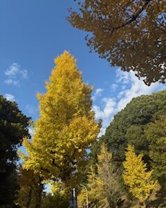 今度は喉風邪。のど飴と水分で喉をうるおす! & 今度は喉風邪。のど飴と水分で喉をうるおす! &