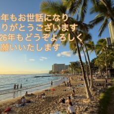 今年も大変お世話になり、ありがとうございます。2026年もよろしくお願いいたします☆彡
