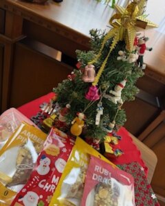 Mele　Kalikimaka☆彡　雨のクリスマス・イヴ。