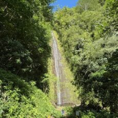 謹賀新年。今年もよろしくお願いいたします。　＆　「マナ・カード」イヤーカード引きましたか？