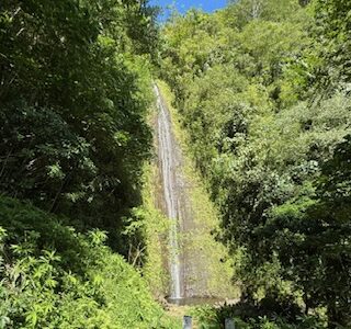 謹賀新年。今年もよろしくお願いいたします。　＆　「マナ・カード」イヤーカード引きましたか？