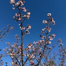 三連休、いかがお過ごしでしたか？　「マナ・カード」で、イヤーカードからさらに具体的な質問を☆彡