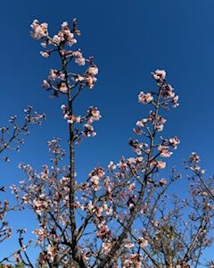 三連休、いかがお過ごしでしたか? 「マナ・カード」で、イヤーカードからさらに具体的な質問を☆彡 三連休、いかがお過ごしでしたか? 「マナ・カード」で、イヤーカードからさらに具体的な質問を☆彡