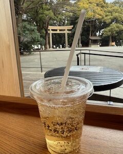 大人女性の皆さま、ひとり静かな時間を作ってね☆彡 & ホクラニ近くの明治神宮へ☆彡 大人女性の皆さま、ひとり静かな時間を作ってね☆彡 & ホクラニ近くの明治神宮へ☆彡