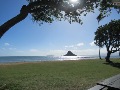 次回の【オンライン】「ペレとヒイアカの旅」は、2月14日(土)です! 入念に準備中\(^o^)/ 次回の【オンライン】「ペレとヒイアカの旅」は、2月14日(土)です! 入念に準備中\(^o^)/