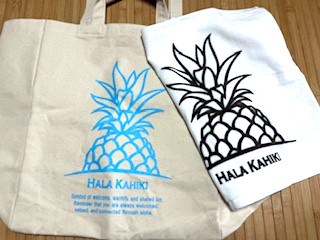 4/19(日)「ヒナの神話本を訳す」最終回となります! & 今年は開講・超少人数限定 「ティ栽培講座」\(^o^)/ 4/19(日)「ヒナの神話本を訳す」最終回となります! & 今年は開講・超少人数限定 「ティ栽培講座」\(^o^)/